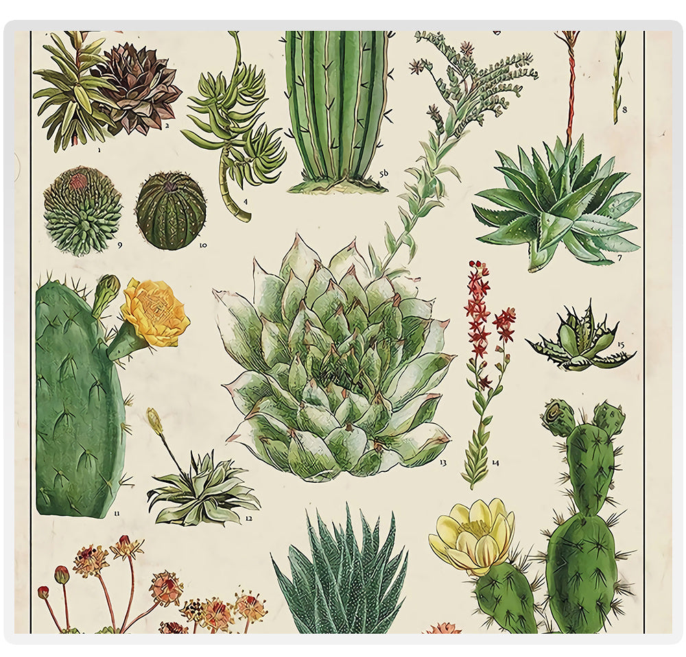 Custom Decorative Canvas Painting Core Frame