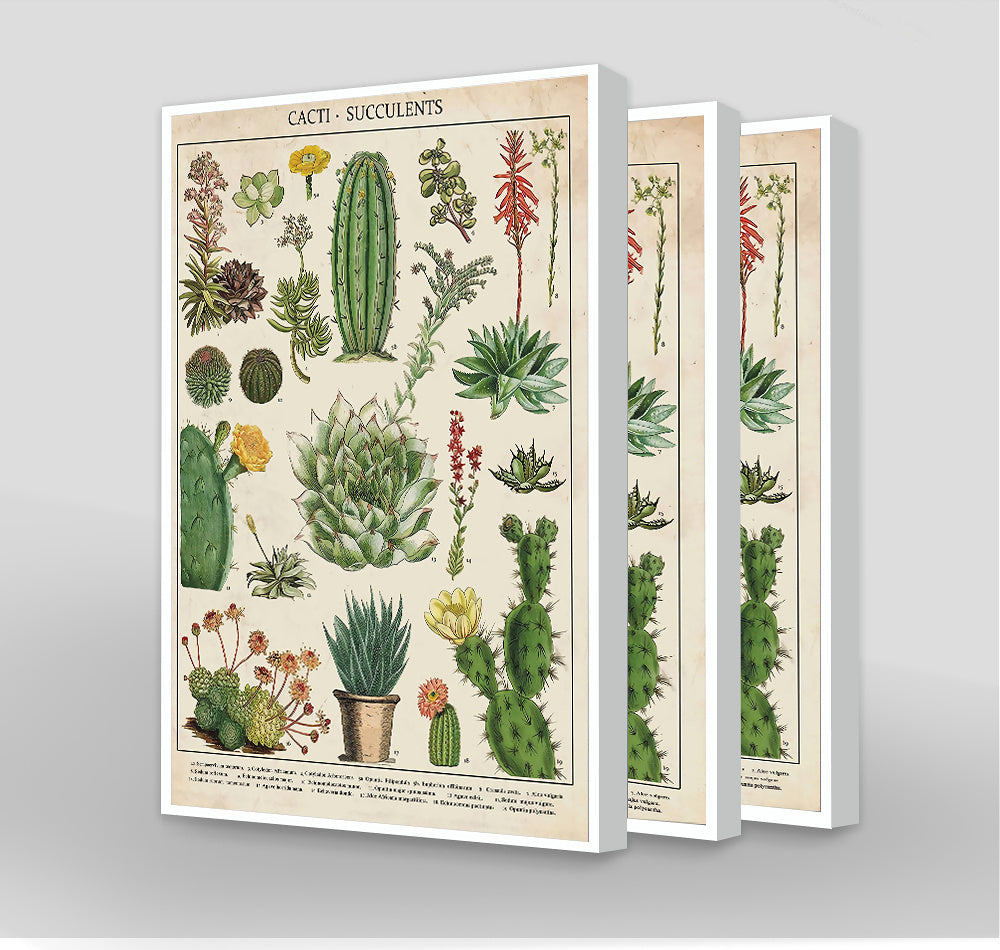 Custom Decorative Canvas Painting Core Frame